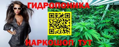 гидропоника Краснознаменск