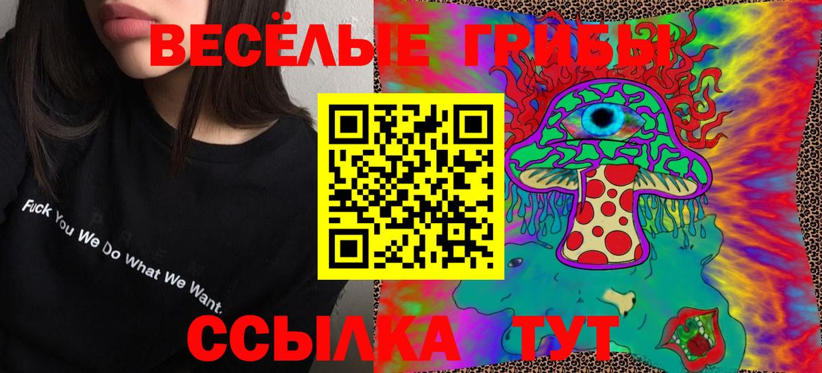 Киреевск  Галлюциногенные грибы Psilocybe  Вход с VPN 